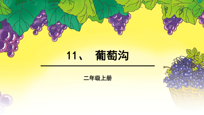 11 葡萄沟 课件(共13张PPT)