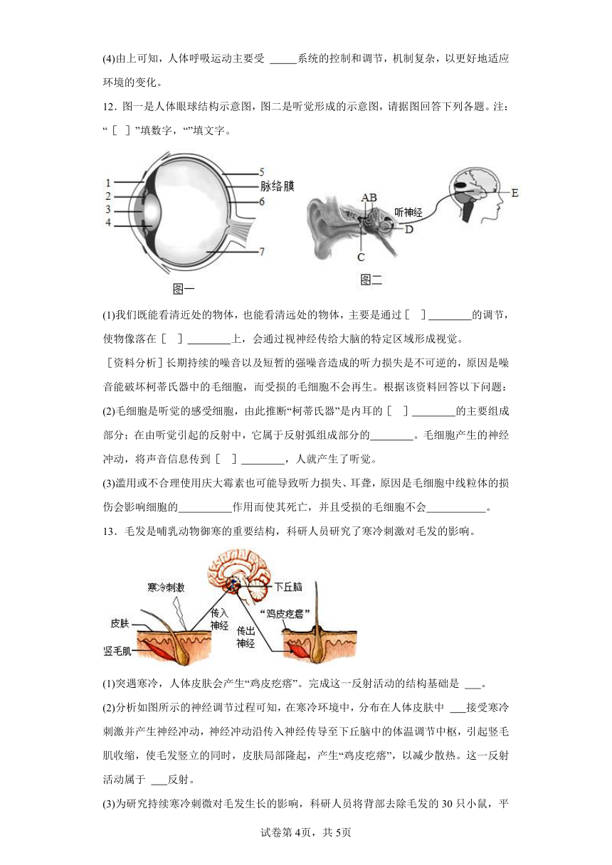 4.6.3神经调节的基本方式 分层作业 七年级生物下册人教版（含解析）