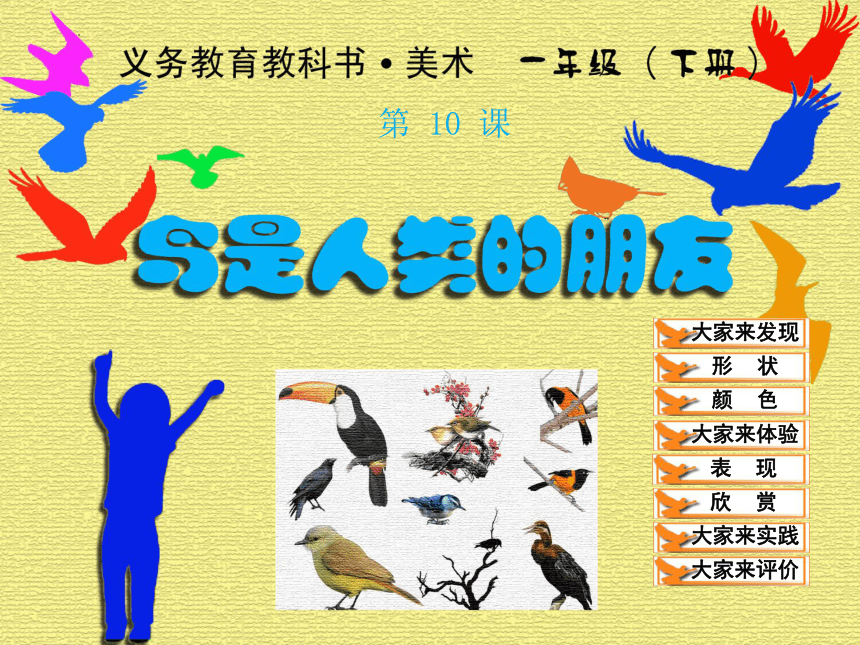 人美版(北京) 美术一年级下册10鸟是人类的朋友 课件(共25张PPT)