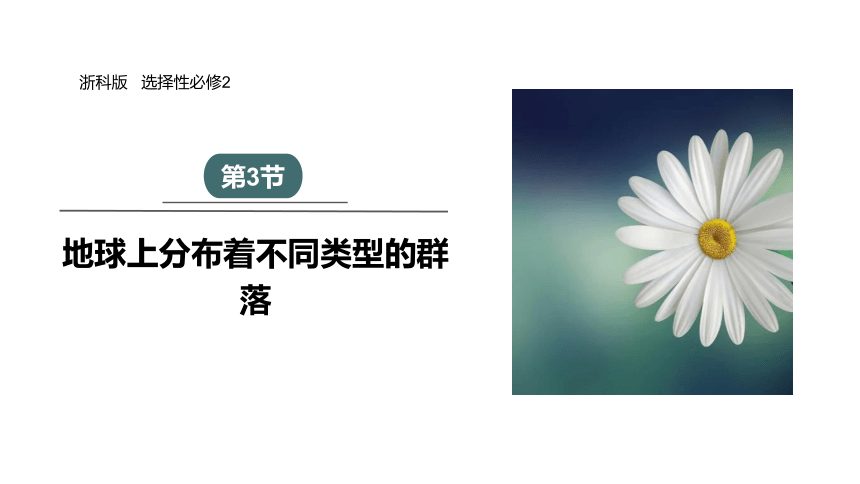 2.3 地球上分布着不同类型的群落 课件(共24张PPT) 2023-2024学年高二生物浙科版（2019）选择性必修2