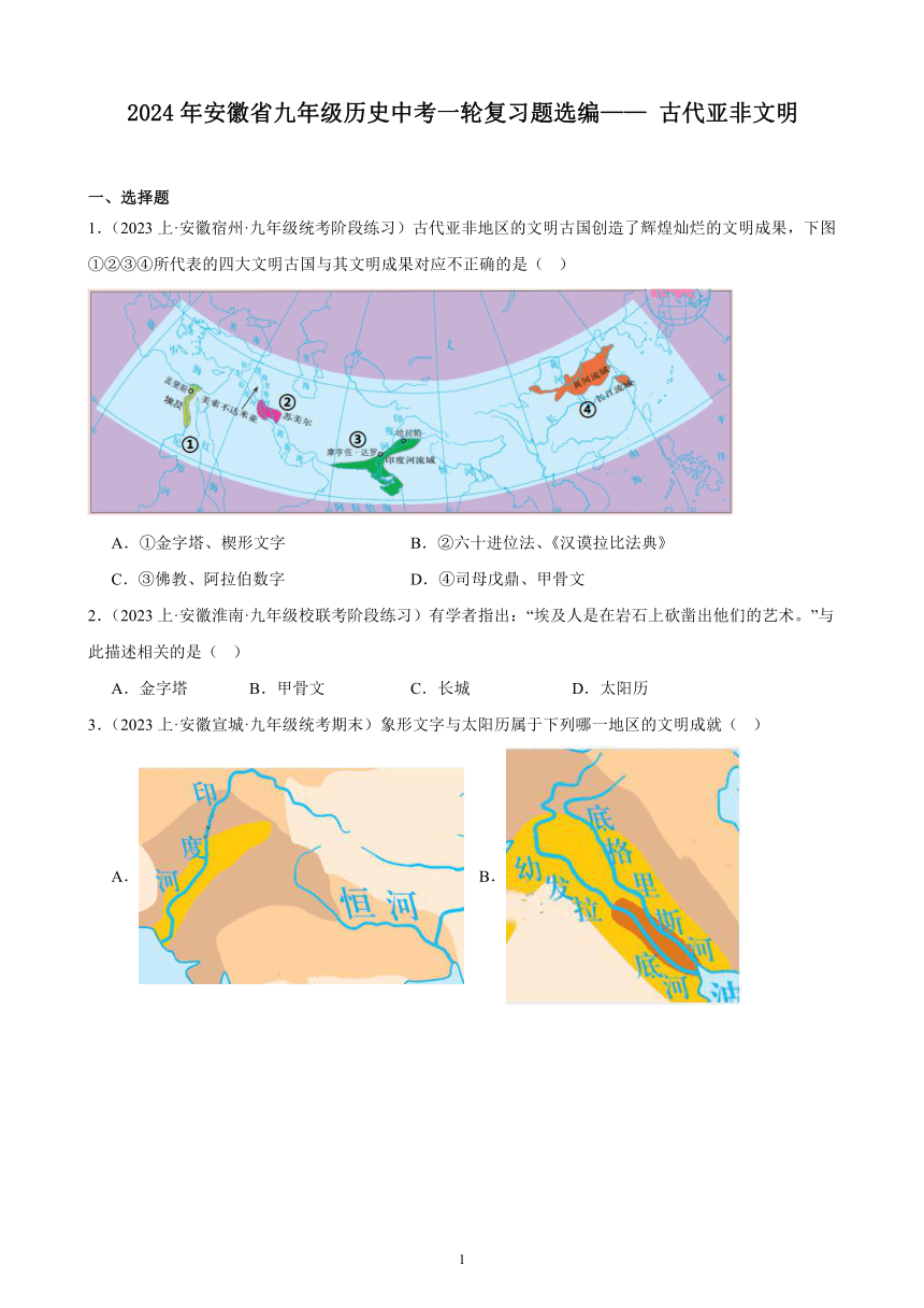 2024年安徽省九年级历史中考一轮复习题选编—— 古代亚非文明（含答案）