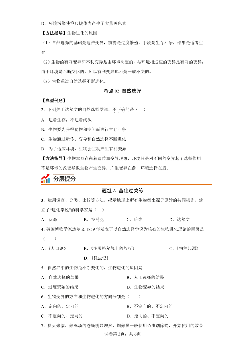 7.3.3 生物进化的原因 知识精讲与分层训练（含解析） 人教版生物八年级下册