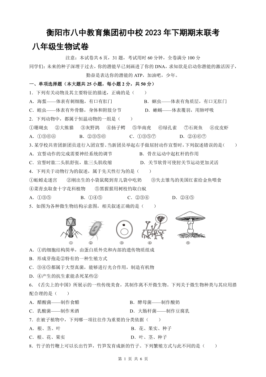 湖南省衡阳市八中教育集团初中校联考2023-2024学年八年级上学期期末考试生物试题（PDF版，无答案）