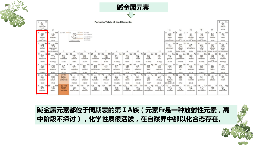 4.1.3 原子结构与元素的性质 碱金属元素（课件）(共41张PPT)高一化学（人教版2019必修第一册）