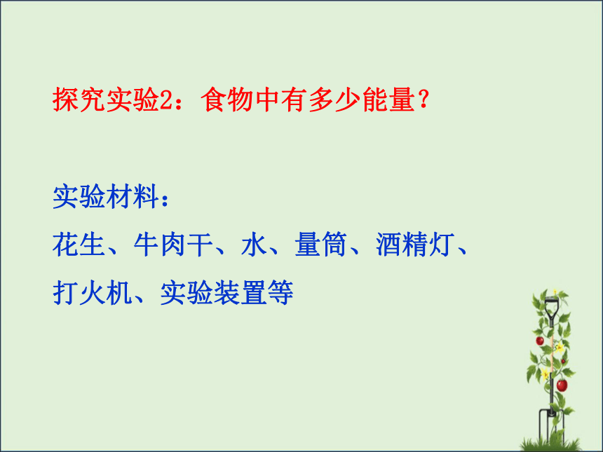 2.1 食物中的营养物质课件(共17张PPT)