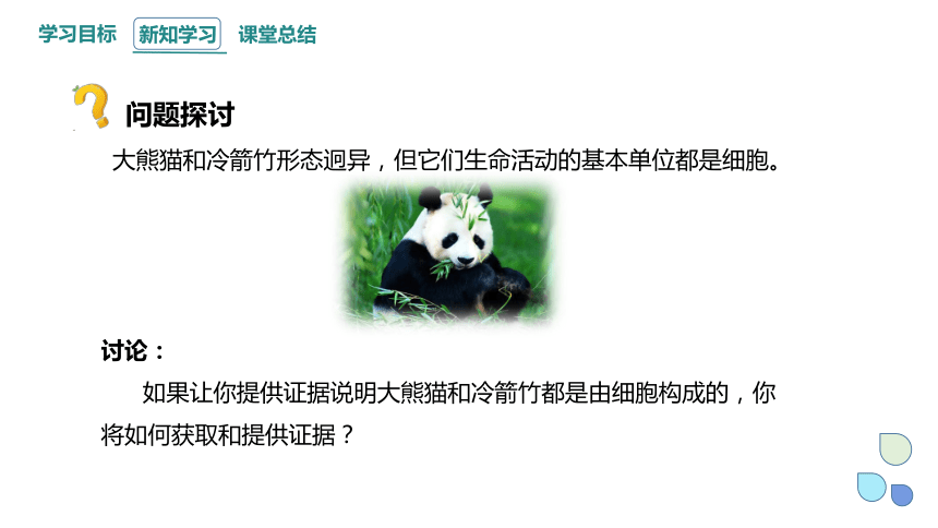 1.1 细胞是生命活动的基本单位 课件(共23张PPT) 2023-2024学年高一生物人教版（2019）必修1