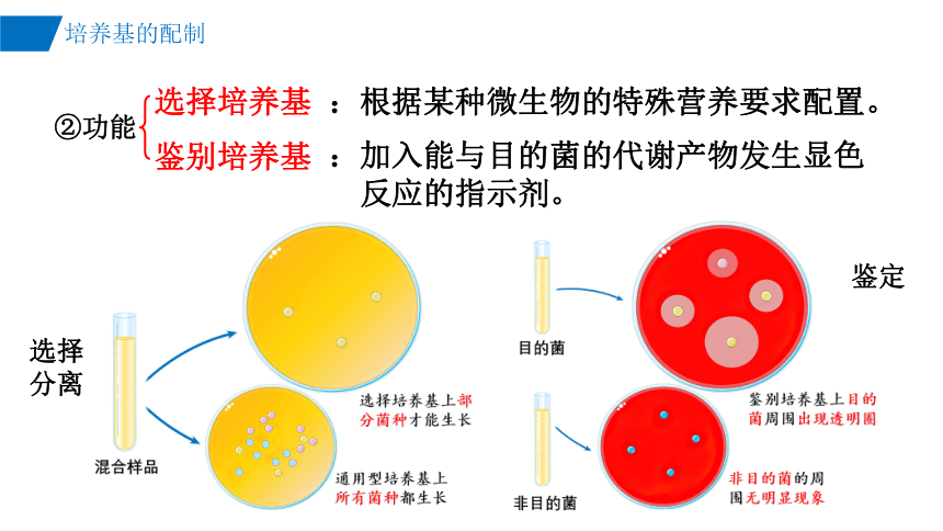 生物人教版（2019）选择性必修3 1.2微生物的培养技术（共45张ppt）