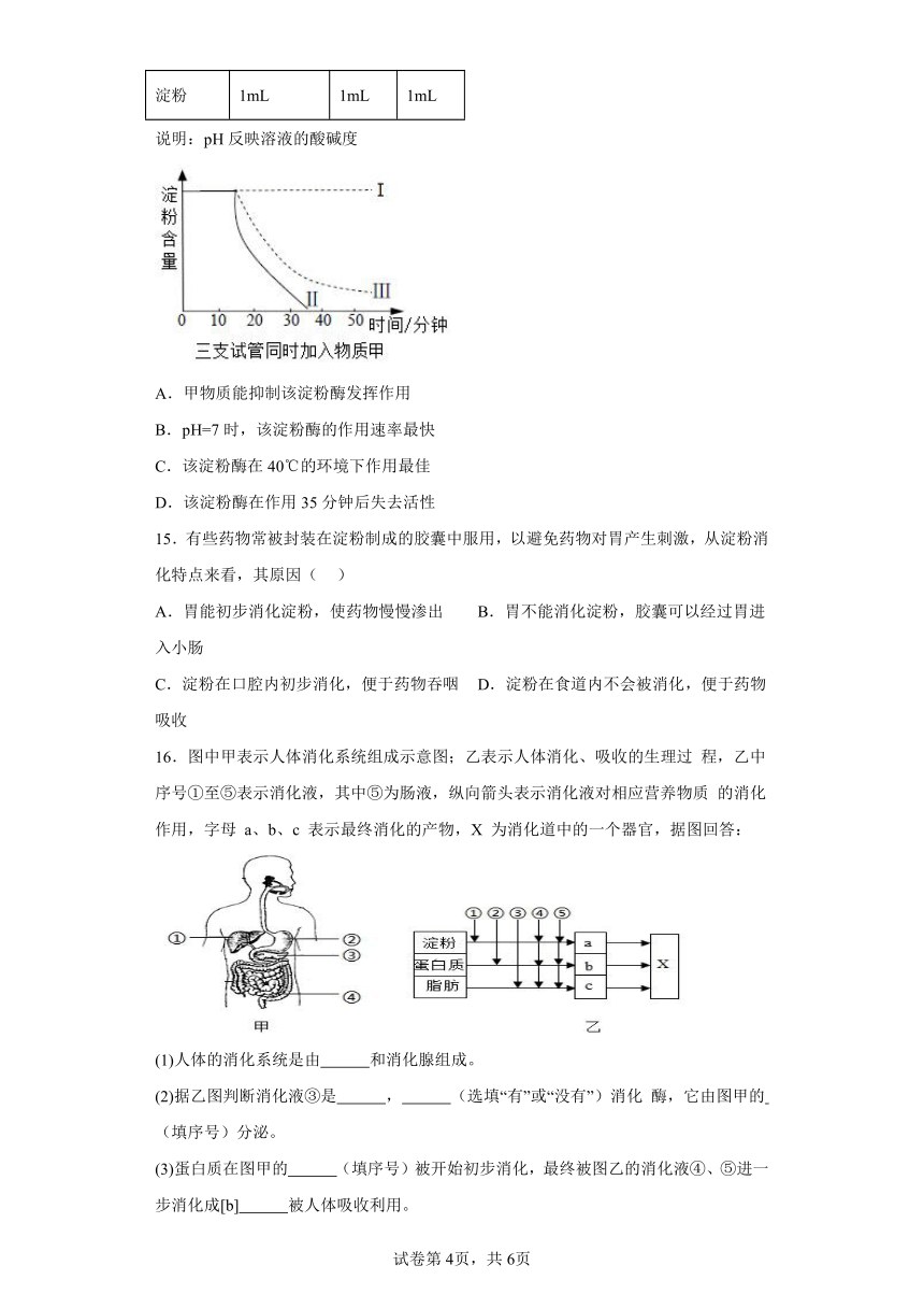 4.2.2消化和吸收 分层作业 七年级生物下册人教版（含解析）