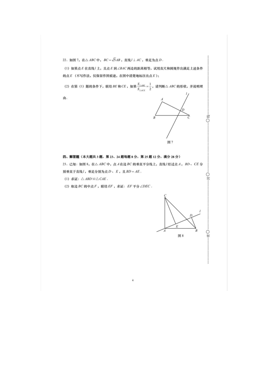 上海市普陀区2023-2024学年八年级上学期期末数学试题（图片版含手写答案）