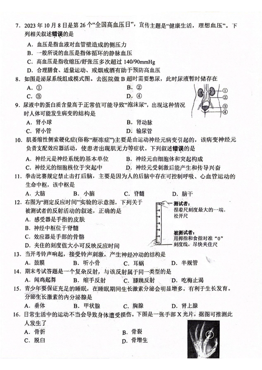 江苏省镇江市2023-2024学年八年级上生物期末试卷（PDF版无答案）