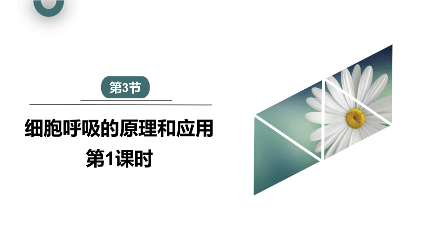 5.3.1 细胞呼吸的原理和应用 课件(共22张PPT1份视频) 2023-2024学年高一生物人教版（2019）必修1