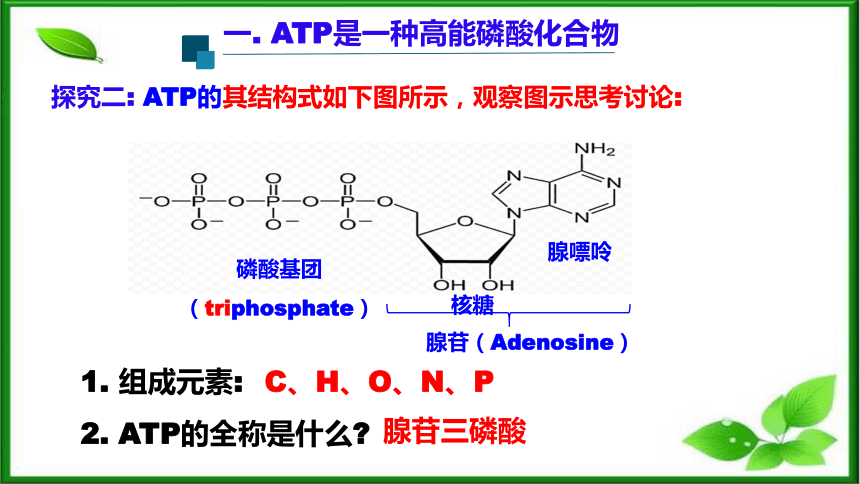 5.2细胞的能量“货币”ATP课件（共35页ppt） 人教版（2019）必修1