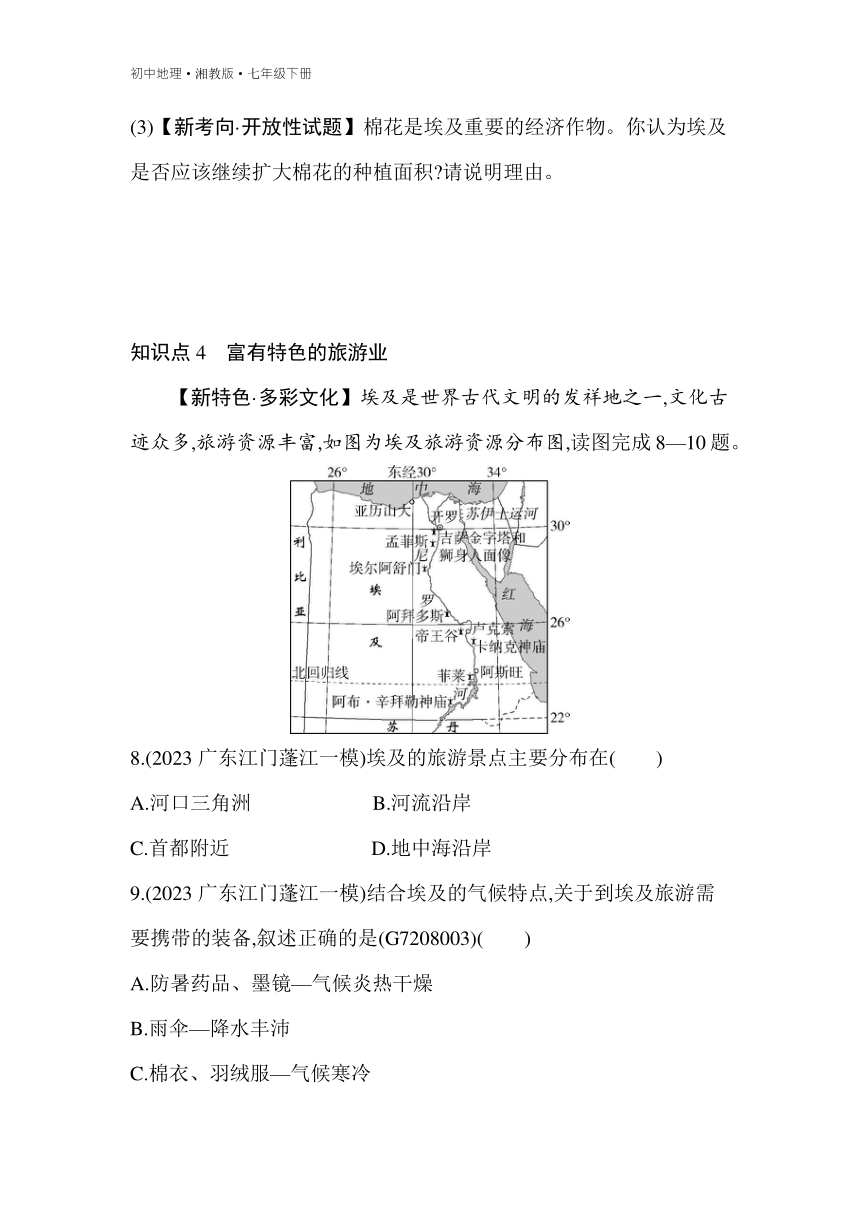 8.2 埃及 素养综合检测（含解析）湘教版地理七年级下册