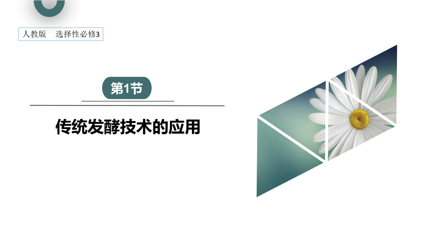 1.1 传统发酵技术的应用  课件 (共26张PPT)2023-2024学年高二生物人教版（2019）选择性必修3