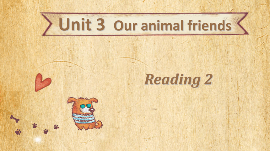 Module 2 Unit 3 Our animal friends课件(共24张PPT)牛津深圳版（广州沈阳通用）七年级下册