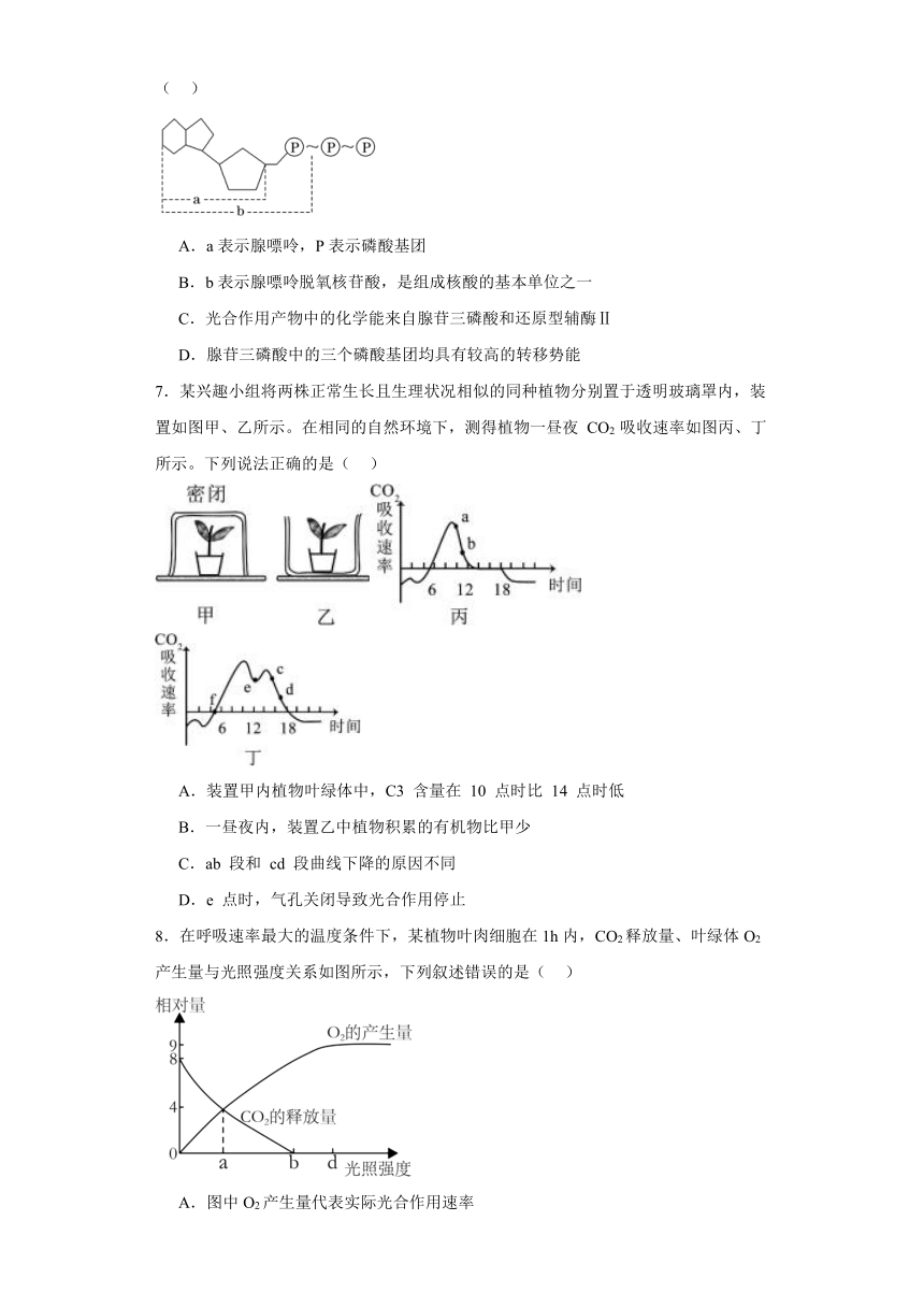 4.4光能的捕获，转换和储存（同步练）-2023-2024学年高一生物（沪科版2019必修一（含解析）