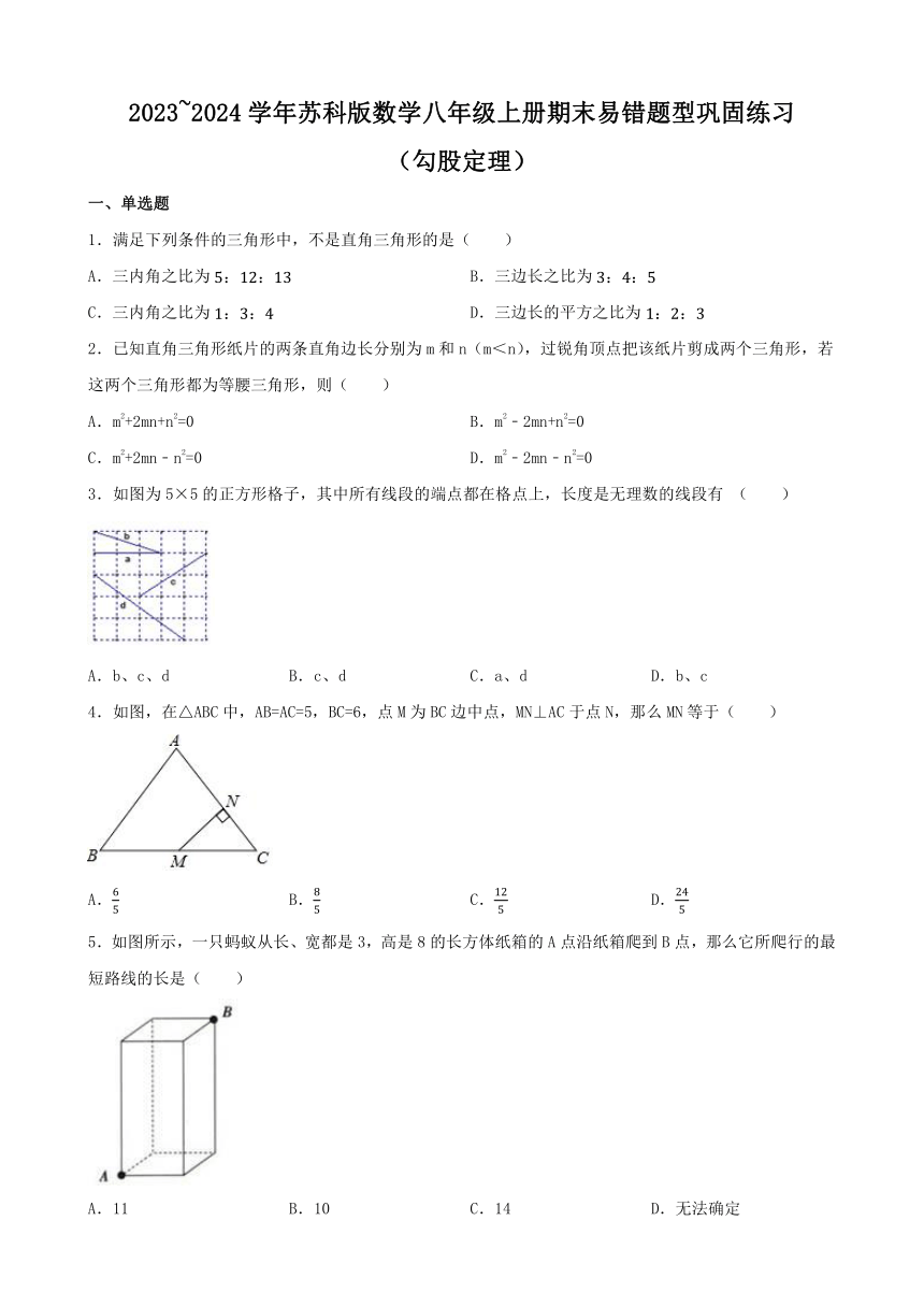 2023—2024学年苏科版数学八年级上册期末易错题型巩固练习（勾股定理）（含答案）