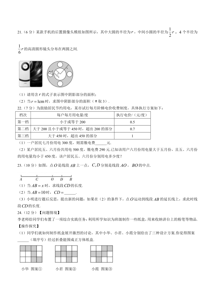 广东省河源市紫金县2023-2024学年七年级上学期期末数学试题（含答案）