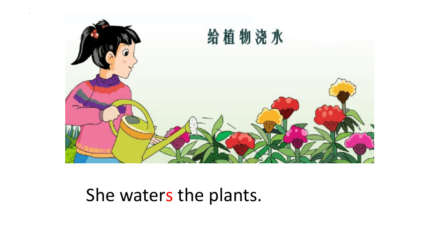 Unit 8 Lingling helps her parents 课件(共21张PPT)