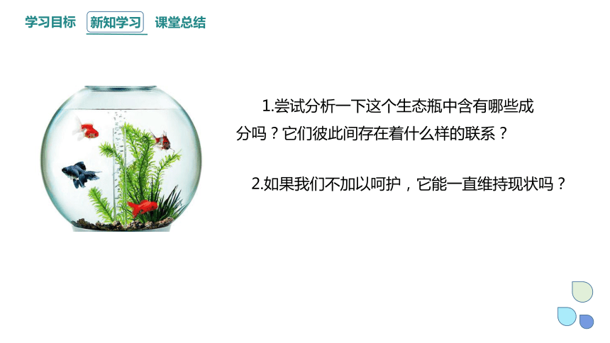 3.6 生态系统通过自我调节维持稳定 课件(共24张PPT) 2023-2024学年高二生物浙科版（2019）选择性必修2