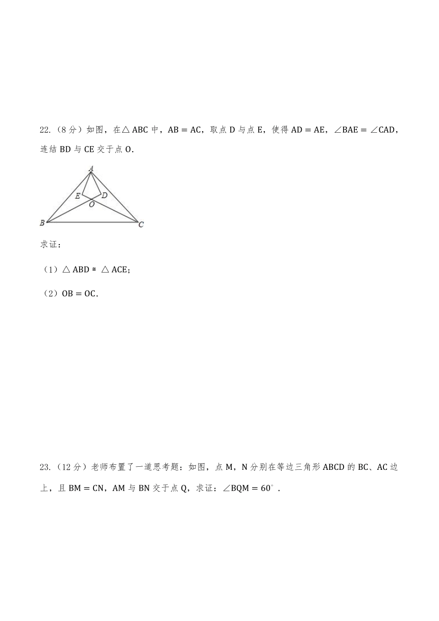 浙教版八年级数学上册试题  期中测试卷（含答案）