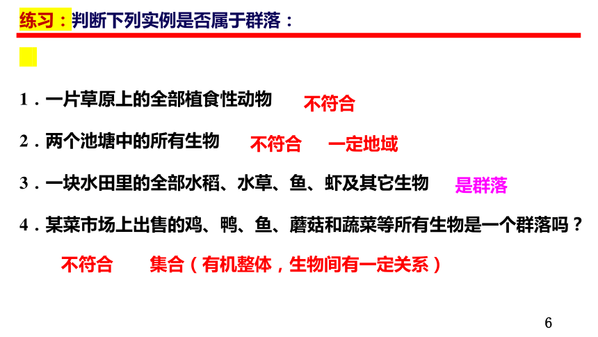 2.1群落的结构课件（共79张PPT）人教版选择性必修2