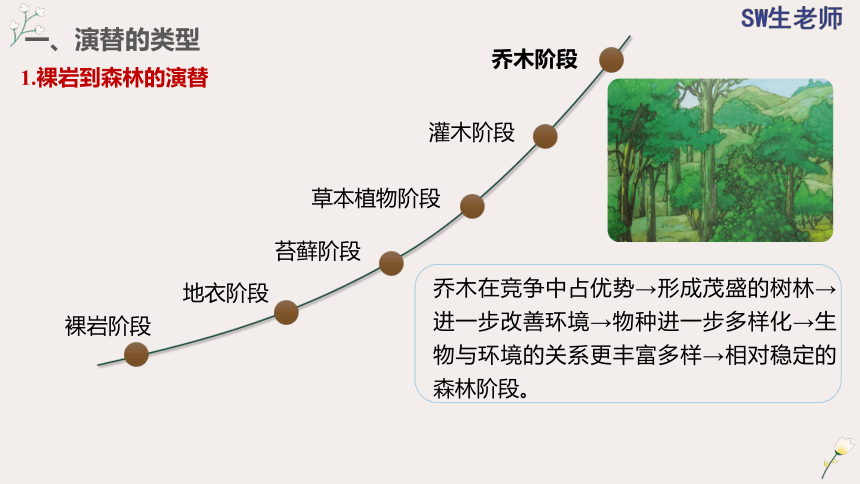 2.3 群落的演替(共36张PPT)