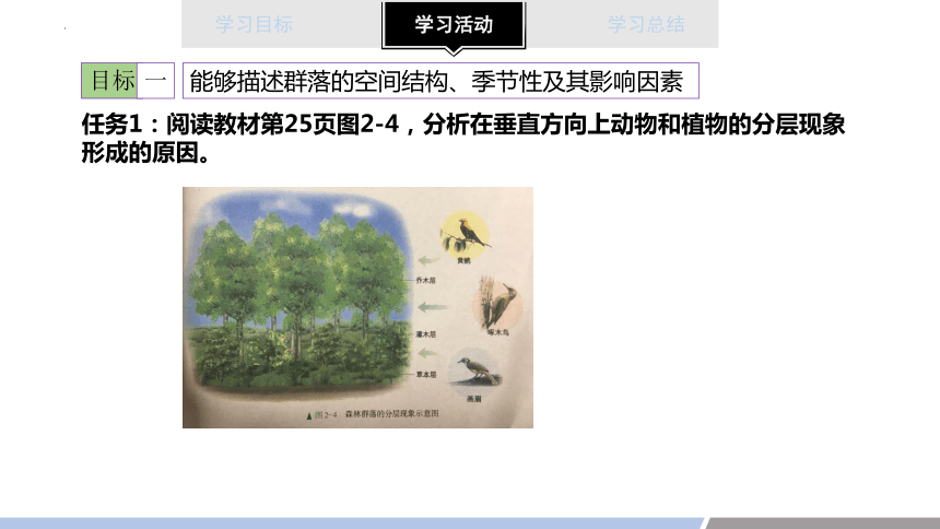 2.1群落的空间结构、季节性、生态位课件（共23张PPT）-人教版（2019）选择性必修2