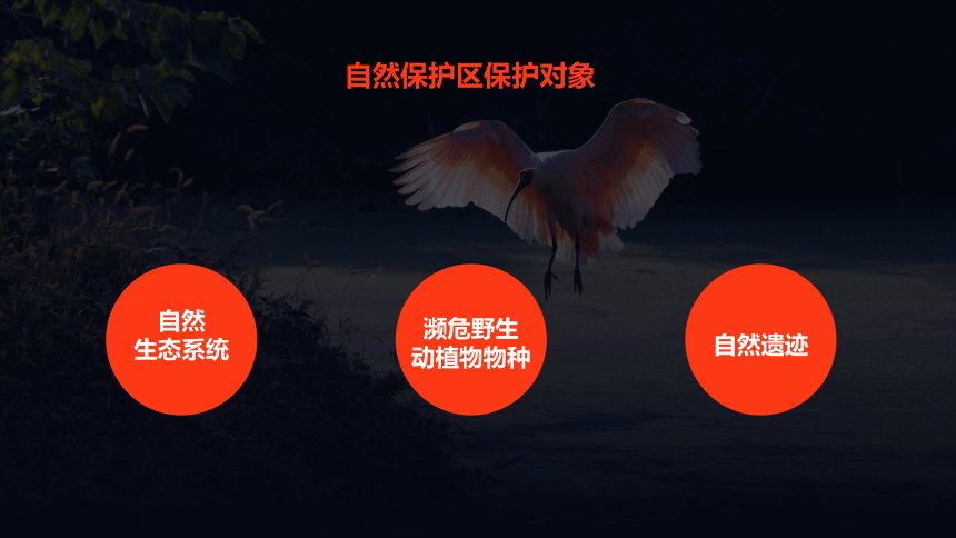 3.2.1 自然保护区与生态安全  课件 (共34张PPT) 2023-2024学年高二地理湘教版（2019）选择性必修3