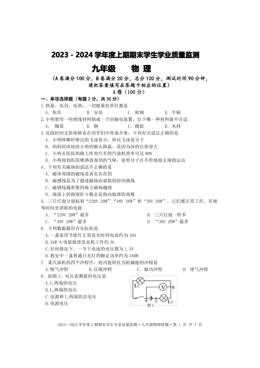2023-2024学年四川省成都市双流区九年级（上）期末物理试卷（PDF无答案）