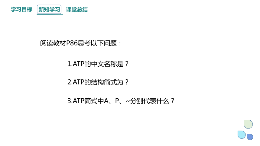 5.2 细胞的能量“货币”ATP 课件(共18张PPT1份视频) 2023-2024学年高一生物人教版（2019）必修1