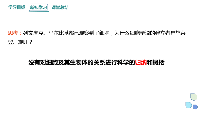 1.1 细胞是生命活动的基本单位 课件(共23张PPT) 2023-2024学年高一生物人教版（2019）必修1