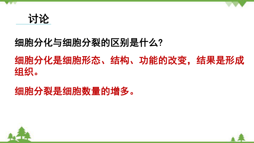 2.2.2动物体的结构层次课件(共18张PPT) 人教版生物七年级上册