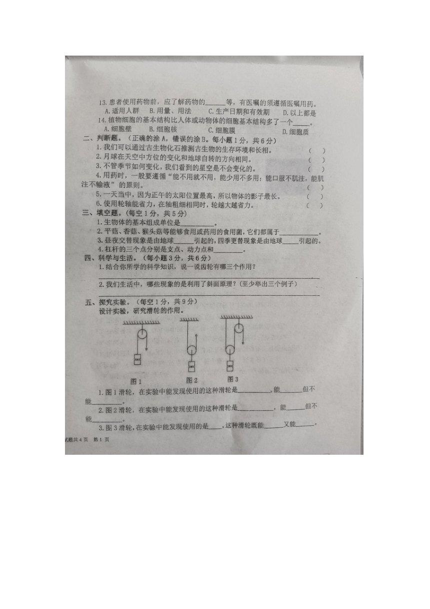 山东省德州市武城县2023-2024学年六年级上学期期末综合试题（图片版 无答案）