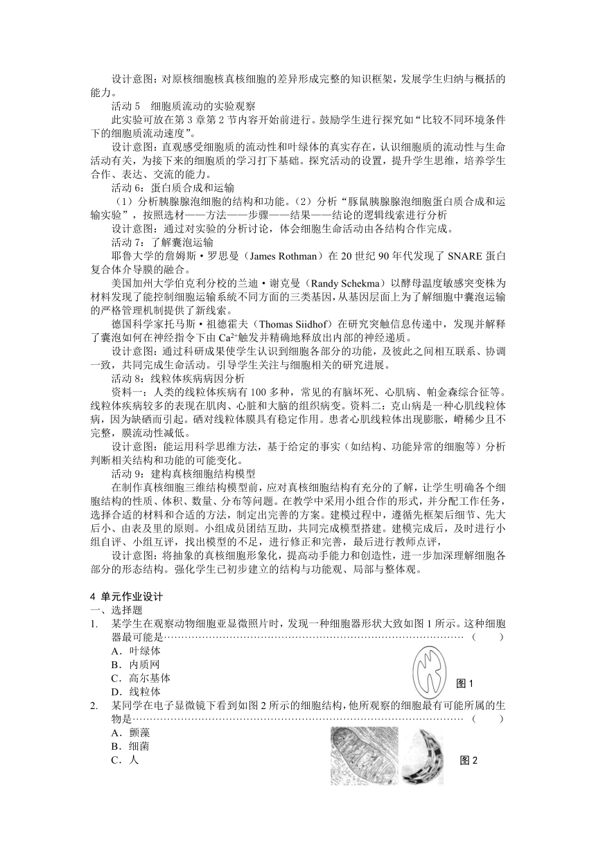 第三章“细胞的结构”单元教学设计 2023-2024学年高一上学期生物沪科版必修1（含答案）