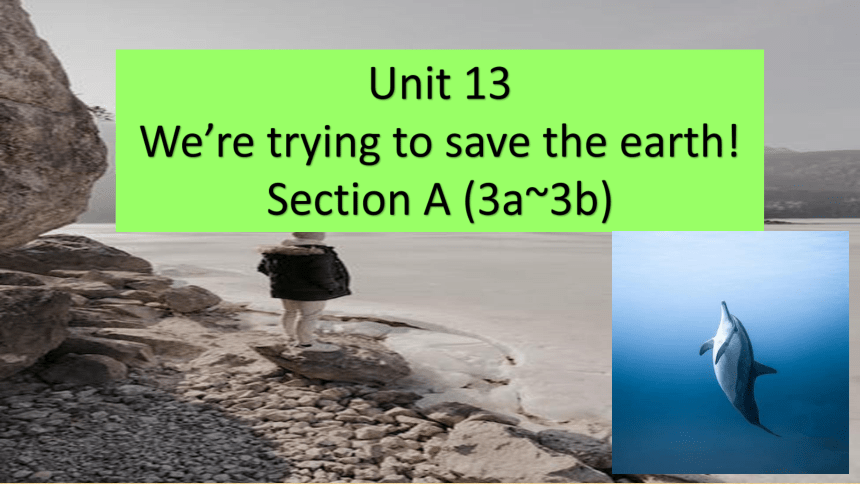 Unit 13 We're trying to save the earth! Section A 3a-3b课件 (共25张PPT)人教版九 ...