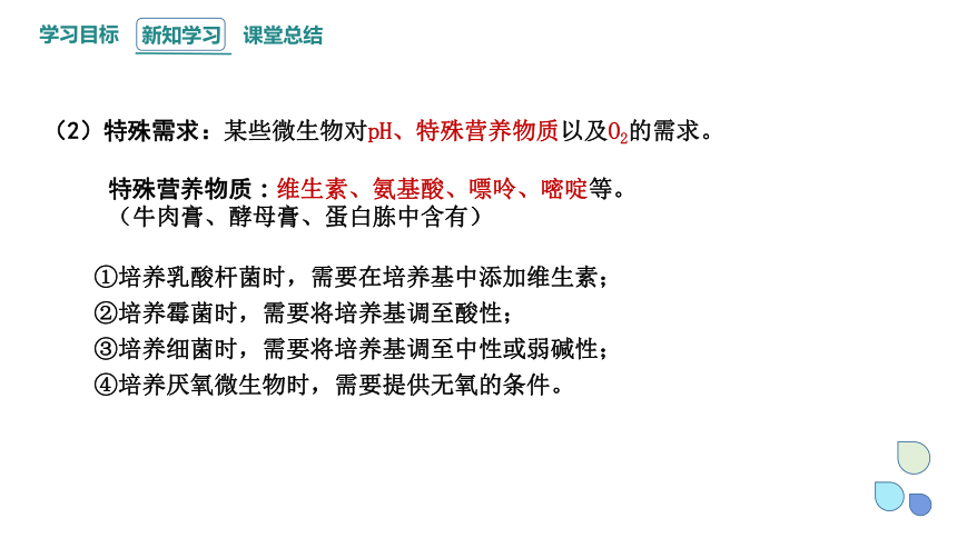 1.2 课时1 微生物的基本培养技术  课件(共30张PPT) 2023-2024学年高二生物人教版（2019）选择性必修3