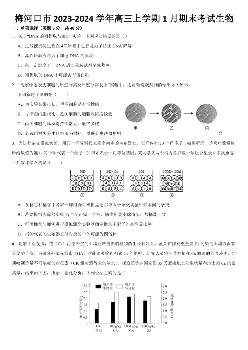 吉林省通化市梅河口市第五中学2023-2024学年高三上学期1月期末考试生物学试题（含答案）