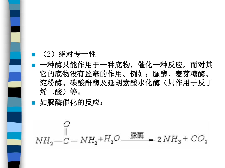 4.1.2 酶的基本特征 课件(共40张PPT)-《食品生物化学》同步教学（大连理工大学出版社）