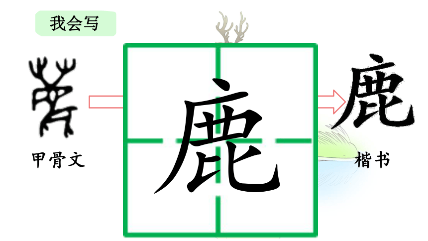 7.《鹿角和鹿腿》课件(共20张PPT)