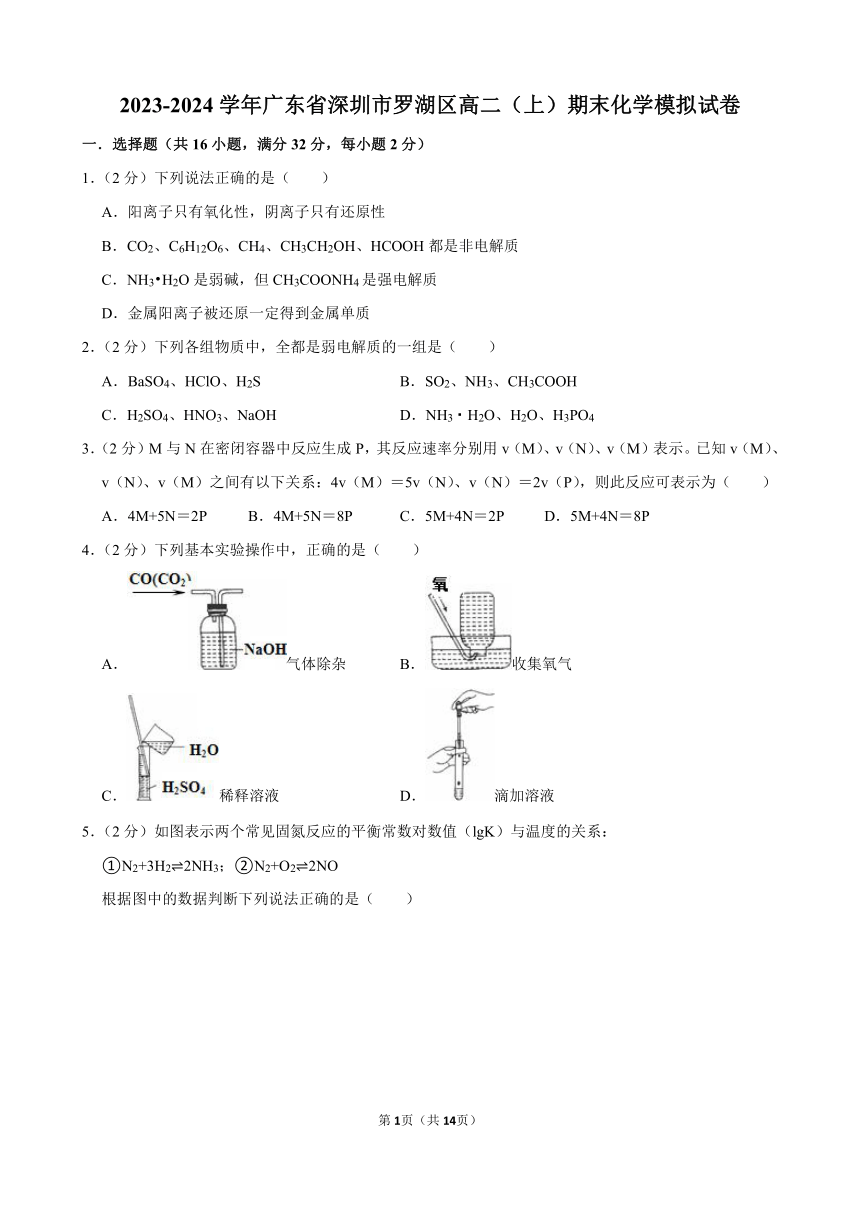 2023-2024学年广东省深圳市罗湖区高二（上）期末化学模拟试卷（含解析）