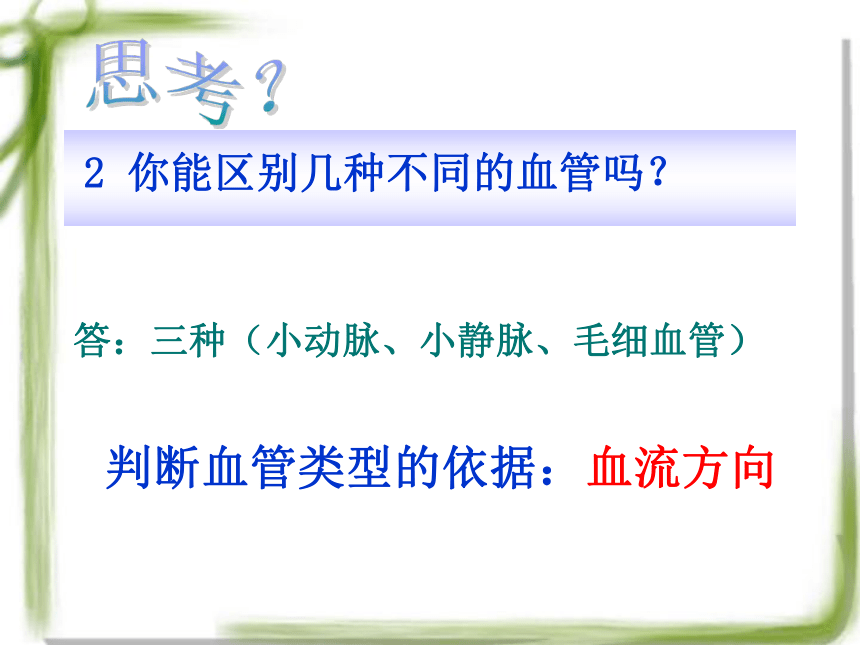 4.2-血流的管道——血管 课件（共37张PPT）