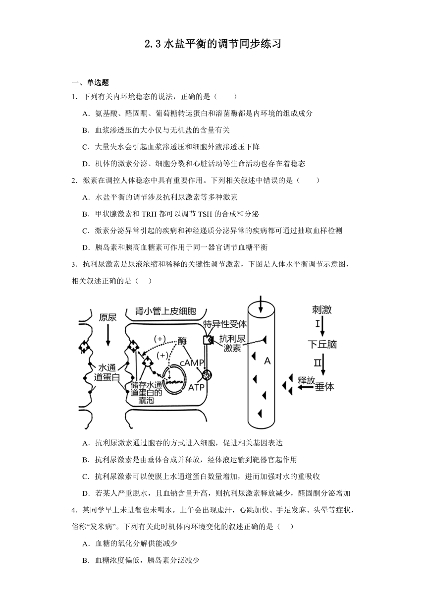 2.3水盐平衡的调节同步练习2023-2024学年高二上学期生物苏教版选择性必修1（文字版含解析）