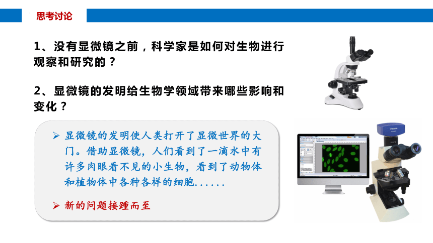 1.1细胞是生命活动的基本单位课件（共29张PPT） 生物人教版必修1