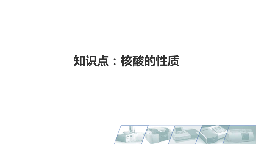 5.2核酸的性质 课件(共11张PPT)-《食品生物化学》同步教学（大连理工大学出版社）