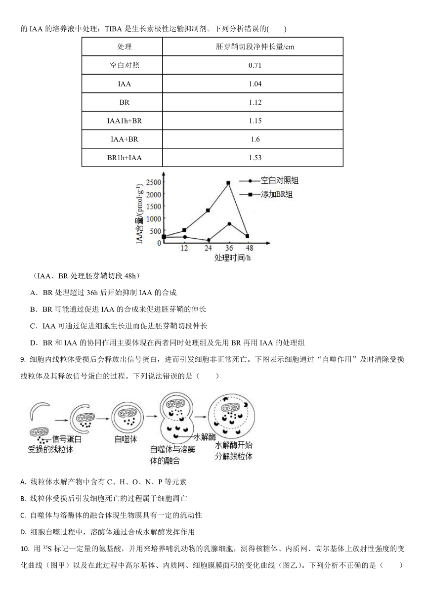 吉林省通化市梅河口市第五中学2023-2024学年高三上学期1月期末考试生物学试题（含答案）