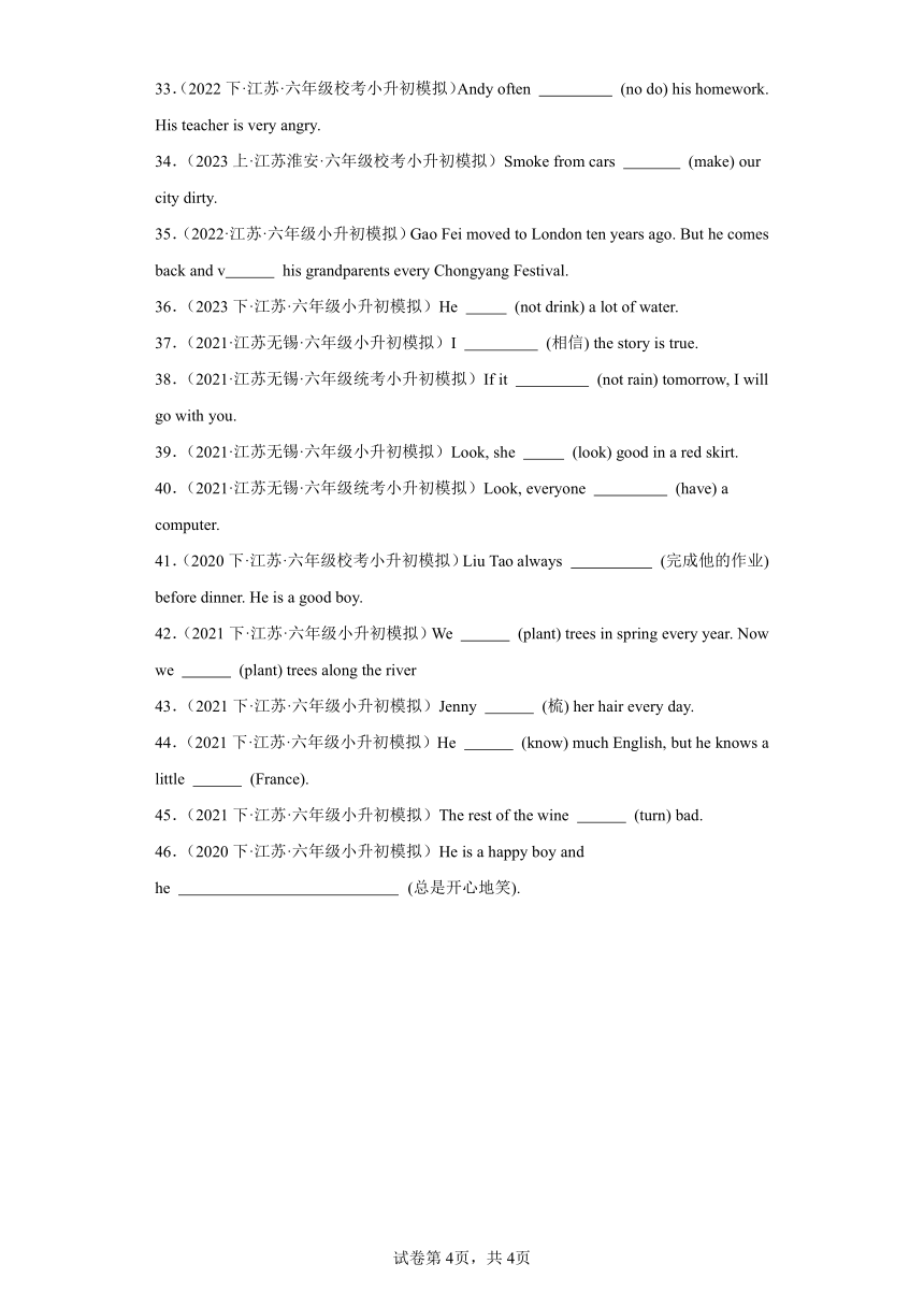 江苏地区 一般现在时—2024小升初英语语法复习 模拟真题集训 译林版（三起）英语六年级下册（含答案）