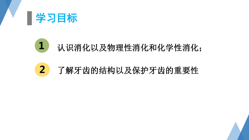 2.1.2-1食物在口腔中的消化 课件(共23张PPT)2023-2024学年冀少版生物七年级下册