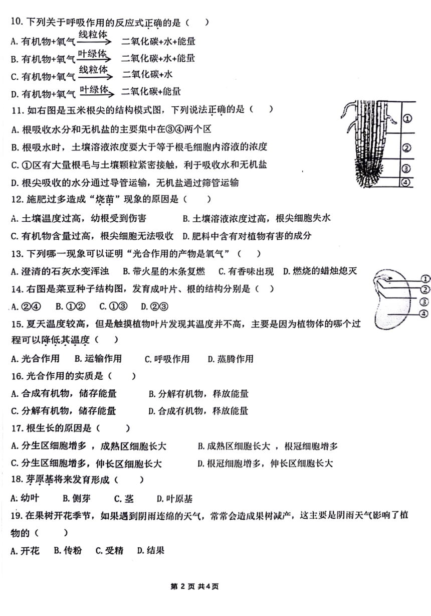 河南省驻马店市第二初级中学2023-2024学年七年级上学期期末生物试题（PDF版无答案）