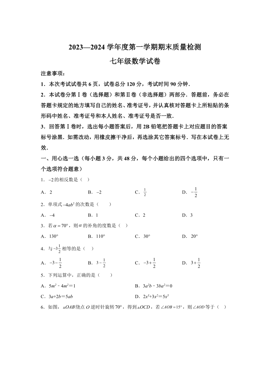 河北省唐山市乐亭县2023-2024学年七年级上学期期末数学试题(含解析)